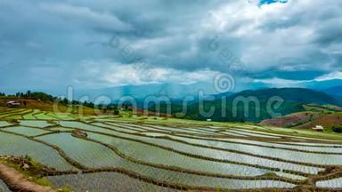 时间流逝，云在稻田上移动，映在水中